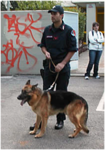 carabinieri-cinofili-1