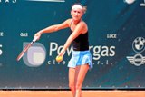 andrea koch-benvenuto