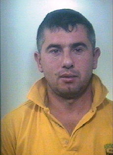 manellari fidai