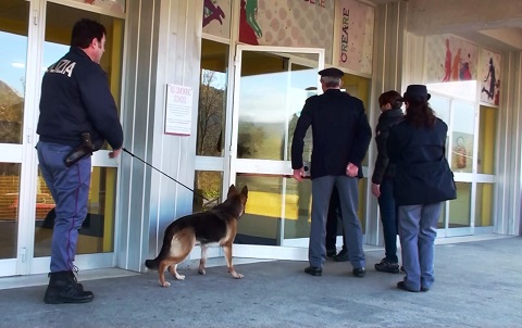 cani-antidroga-polizia.jpg