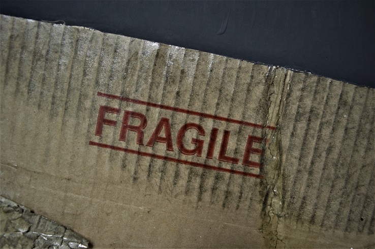 A Coppola Mostra Castel dell0vo Opera 1