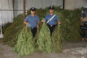 carabinieri-marijuana.jpg
