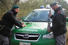 carabinieri-forestale_2.jpg