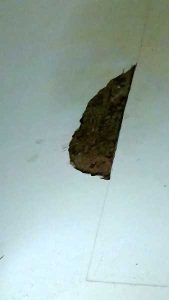 STATO INIZIALE DEL DISTACCO INTONACO