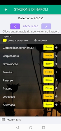 app pollini1