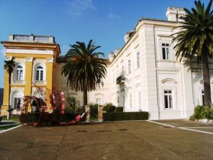 belvedere11.jpg