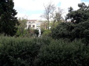alberi.jpg