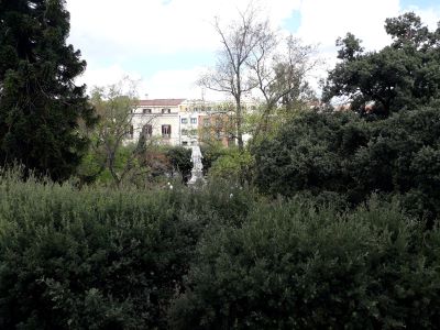 alberi.jpg