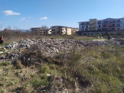 area-2.jpg