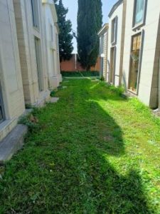 cimitero.jpeg