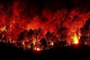Incendio_boschivo1.jpg